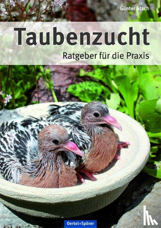 Stach, Günter - Taubenzucht