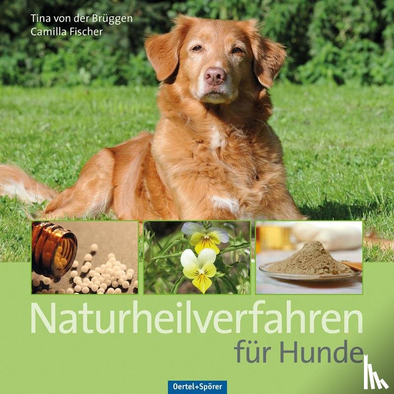 Brüggen, Tina von der, Fischer, Camilla - Naturheilverfahren für Hunde
