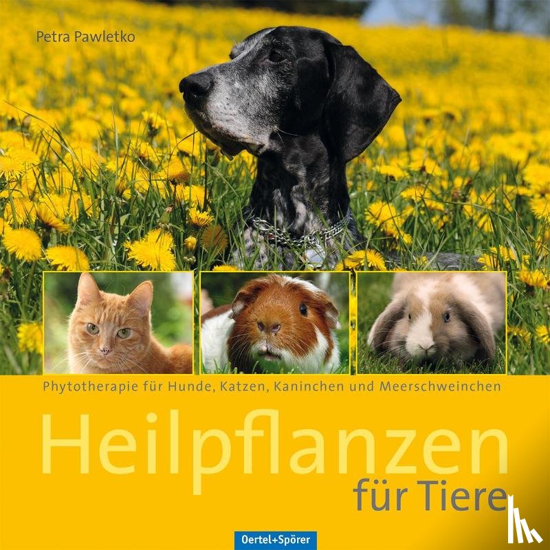 Pawletko, Petra - Heilpflanzen für Tiere