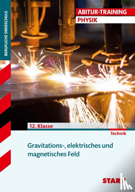 Lehmann, Eberhard, Schmidt, Friedrich - Training FOS/BOS Physik. Gravitations-, elektrisches und magnetisches Feld