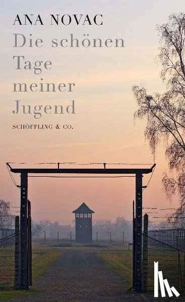 Novac, Ana - Die schönen Tage meiner Jugend