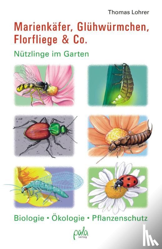 Lohrer, Thomas - Marienkäfer, Glühwürmchen, Florfliege & Co.