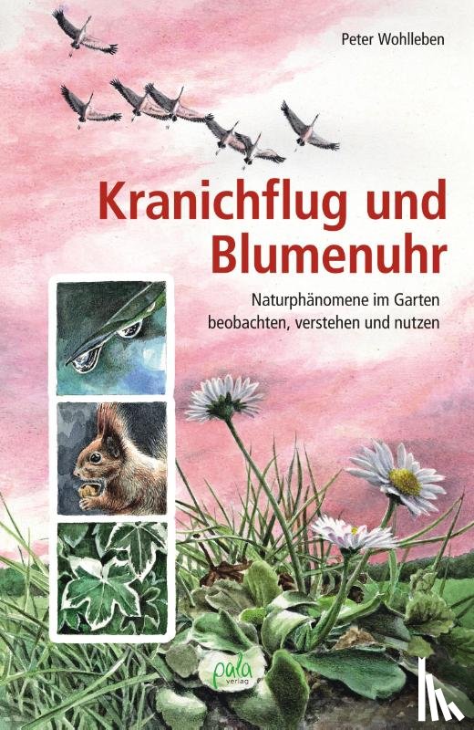 Wohlleben, Peter - Kranichflug und Blumenuhr