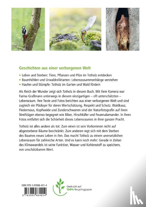 Graßmann, Farina - Wunderwelt Totholz