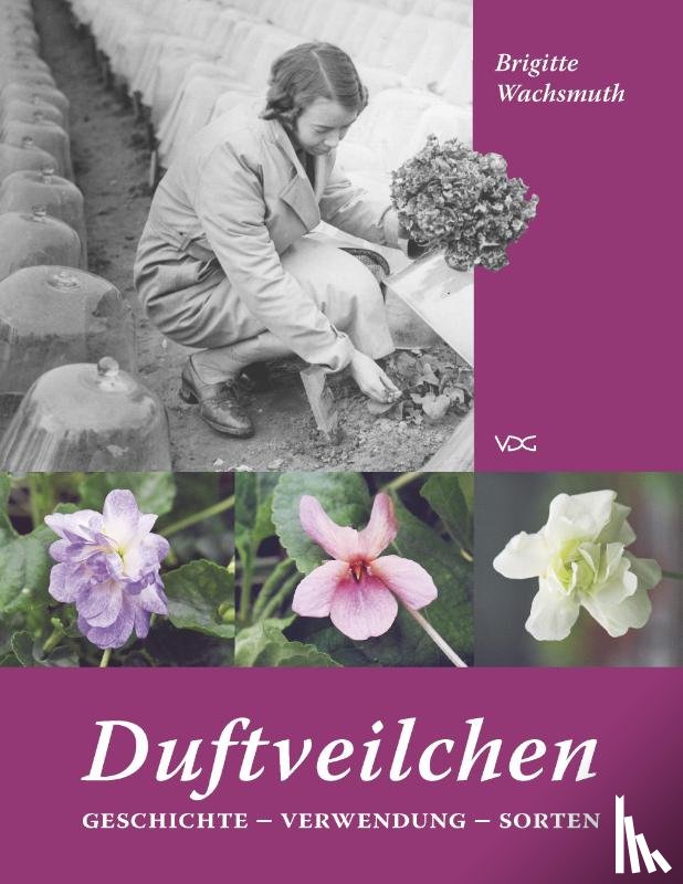 Wachsmuth, Brigitte - Duftveilchen