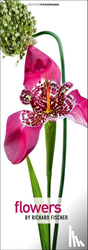 Fischer, Richard - Flowers