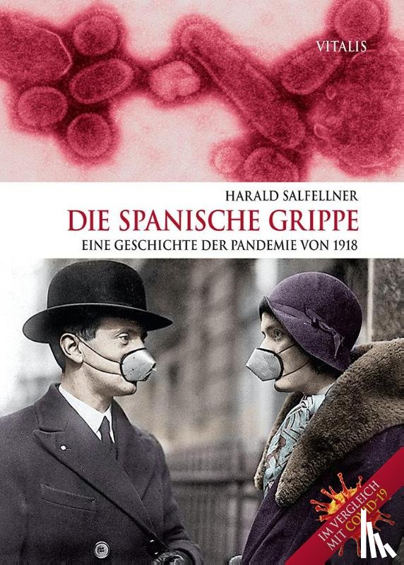 Salfellner, Harald - Die Spanische Grippe