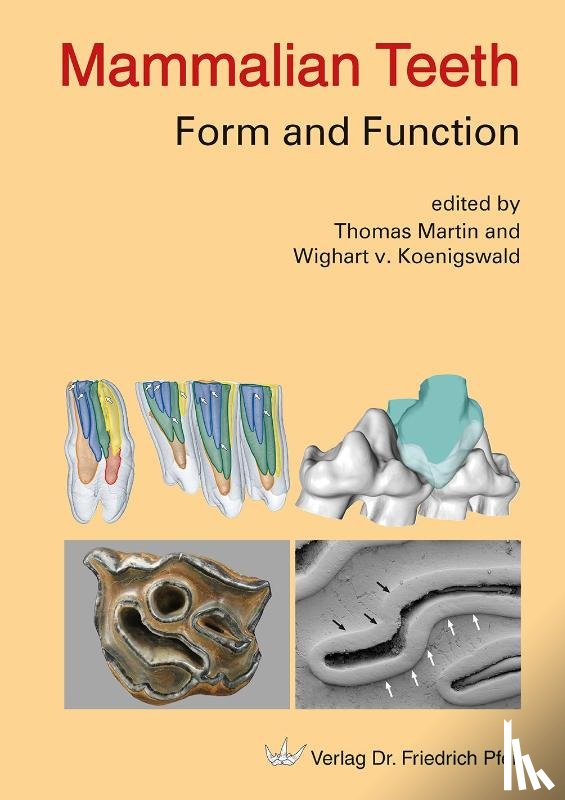  - Mammalian Teeth - Form and Function