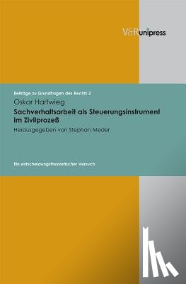 Hartwieg, Oskar, Meder, Stephan - Sachverhaltsarbeit als Steuerungsinstrument im Zivilprozeß