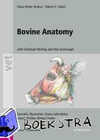 Budras, Klaus Dieter (University of Berlin, Germany), Habel, Robert E., Mulling, Christoph K. W. (University of Leipzig, DE), Greenough, Paul R. (University of Saskatchewan, Saskatoon) - Bovine Anatomy