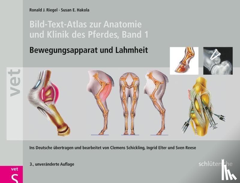 Riegel, Ronald J., Hakola, Susan E. - Bild-Text-Atlas zur Anatomie und Klinik des Pferdes