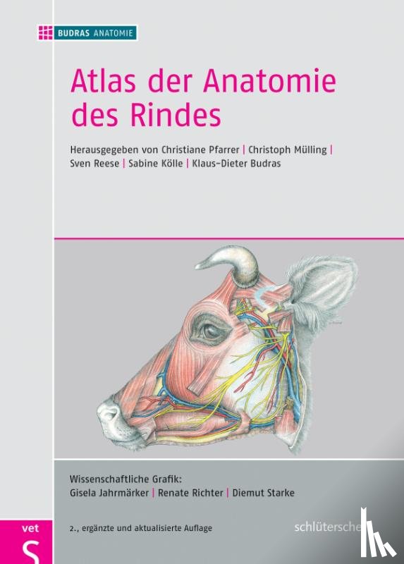  - Atlas der Anatomie des Rindes