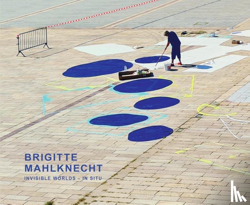  - Brigitte Mahlknecht Invisible Worlds - in situ