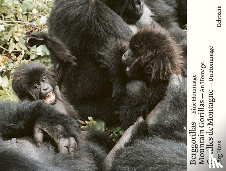 Hess, Jörg - Berggorillas - Moutain Gorillas - Gorilles de Montagne