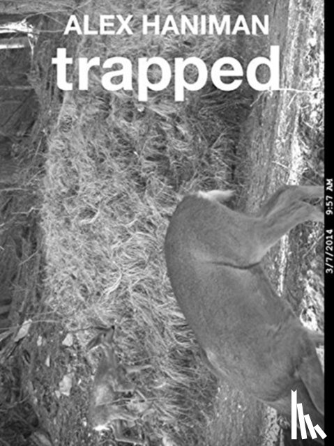 Hannn, Alex - Trapped