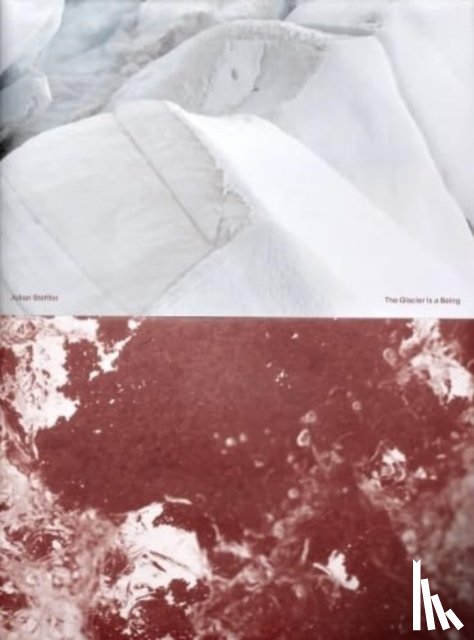 Stettler, Julian - The Glacier is a Being