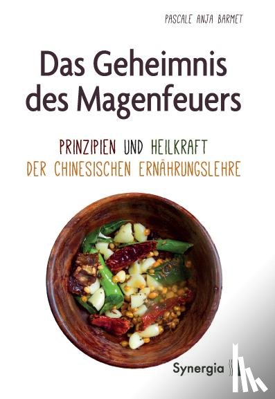 Barmet, Pascale Anja - Das Geheimnis des Magenfeuers