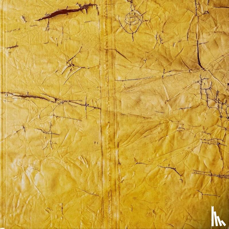 Hammons, David - David Hammons