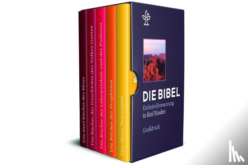  - Bibel in 5 Einzelbüchern in Geschenkkassette, Großdruck