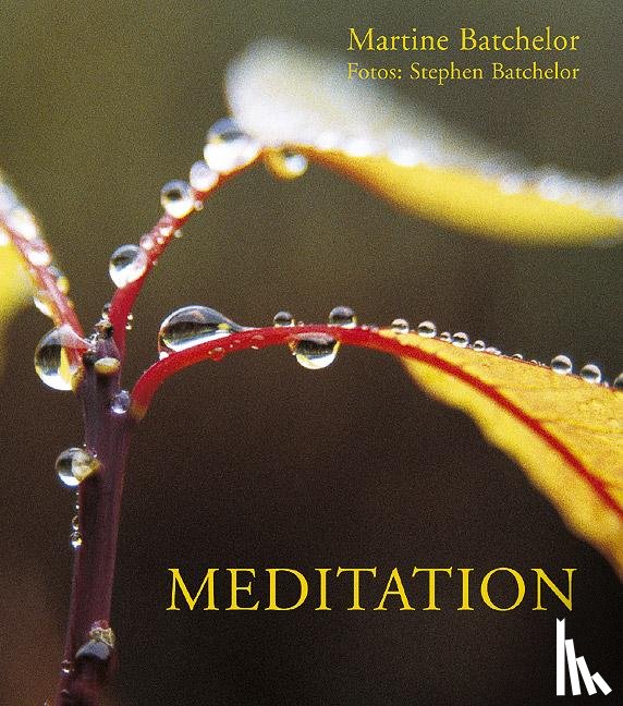 Batchelor, Martine, Batchelor, Stephen - Meditation
