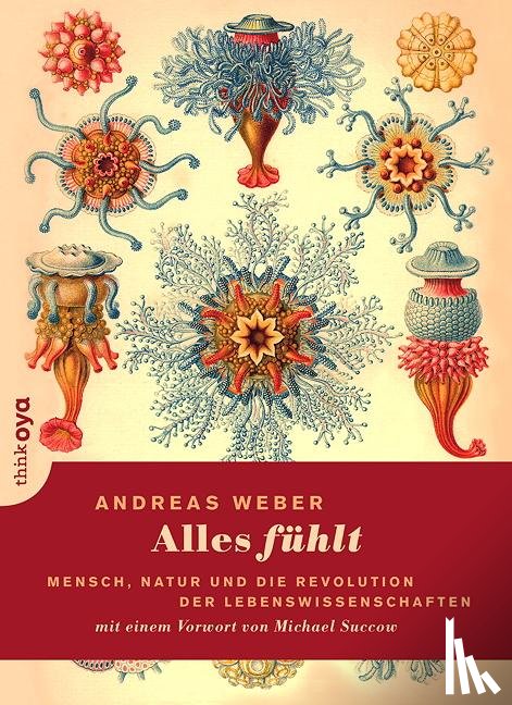 Weber, Andreas - Alles fühlt