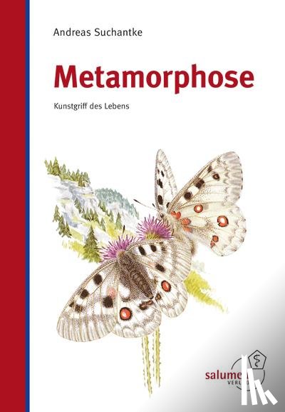 Suchantke, Andreas - Metamorphose