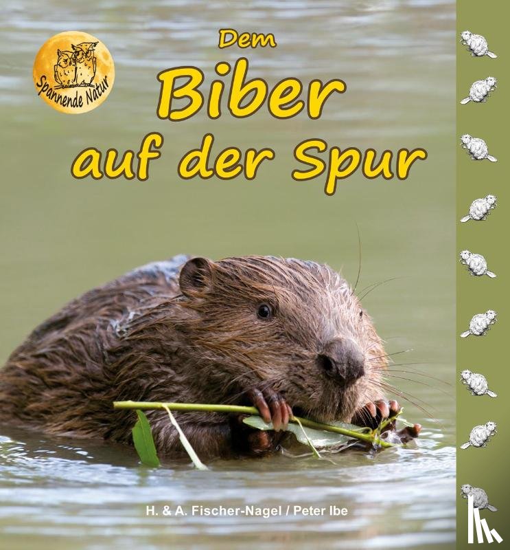 Fischer-Nagel, Heiderose - Dem Biber auf der Spur