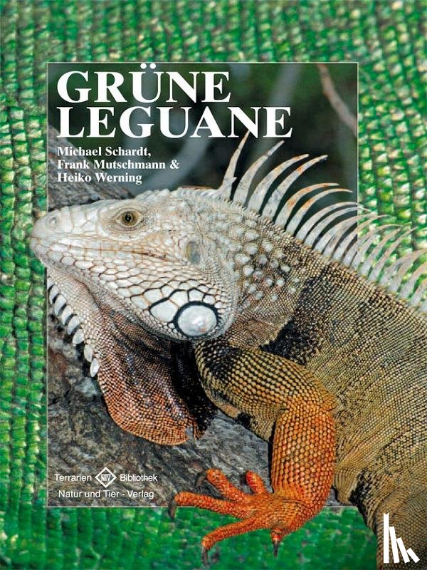 Schardt, Michael, Mutschmann, Frank, Werning, Heiko - Grüne Leguane