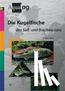 Ebert, Klaus - Die Kugelfische des Süß- und Brackwassers