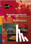 Hieronimus, Harro - Alle Regenbogenfische