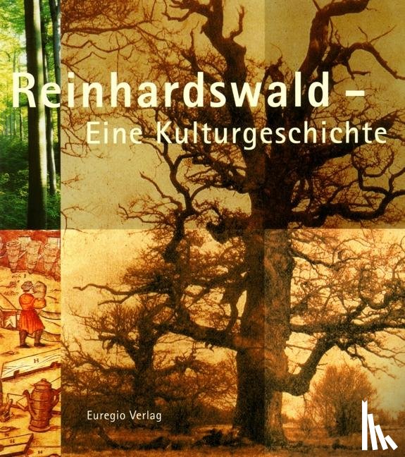  - Reinhardswald