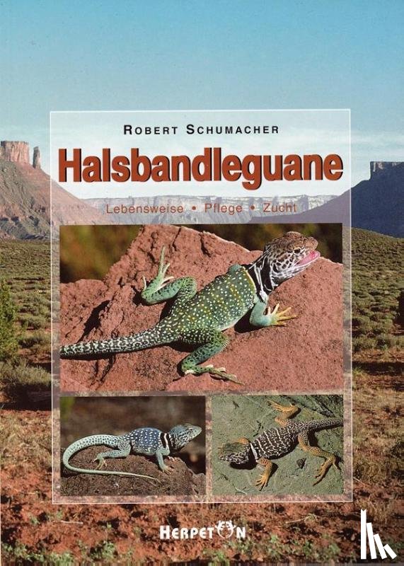 Schumacher, Robert - Halsbandleguane