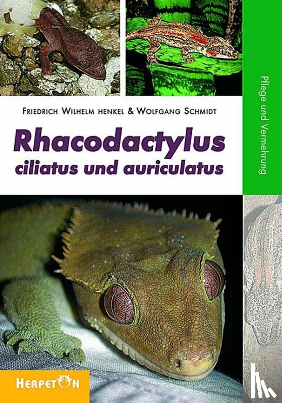 Henkel, Friedrich-Wilhelm, Schmidt, Wolfgang - Rhacodactylus ciliatus und auriculatus
