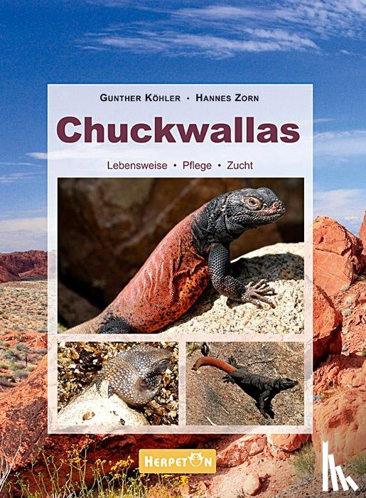 Köhler, Gunther, Zorn, Hannes - Chuckwallas