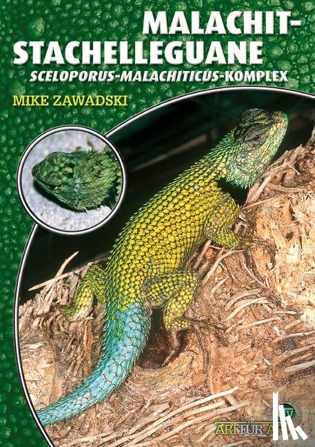 Zawadski, Mike - Malachit-Stachelleguane