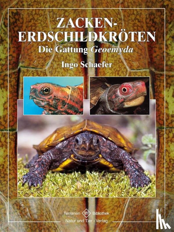 Schäfer, Ingo - Zacken-Erdschildkröten