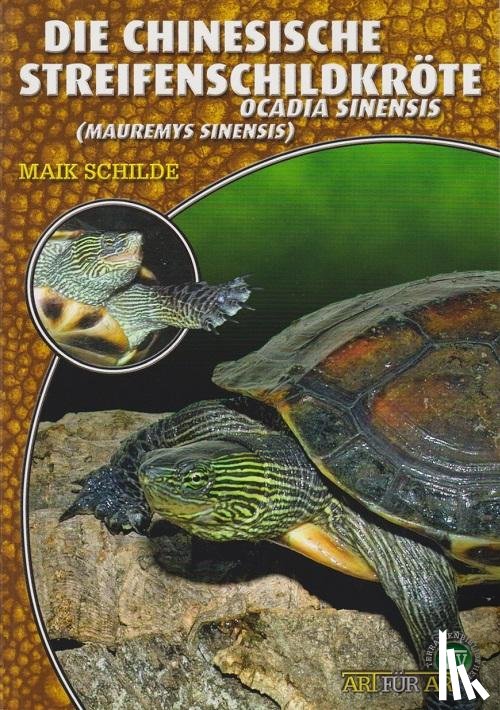 Schilde, Maik - Die Chinesische Streifenschildkröte