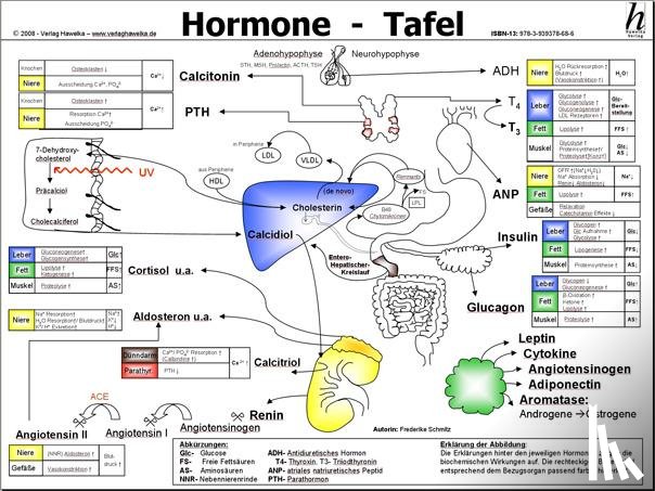  - Hormone Tafel