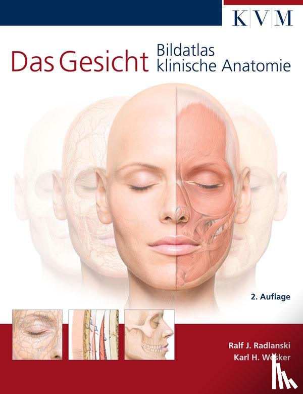 Radlanski, Ralf J. - Das Gesicht