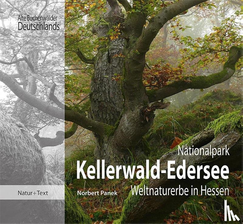 Panek, Norbert - Nationalpark Kellerwald-Edersee