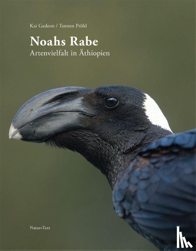 Gedeon, Kai - Noahs Rabe