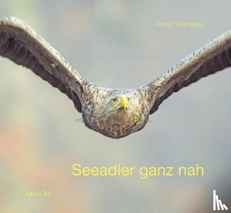 Wernicke, Peter - Seeadler ganz nah