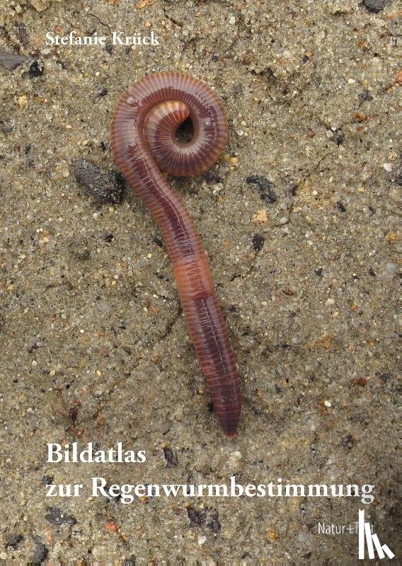 Krück, Stefanie - Bildatlas der Regenwurmbestimmung