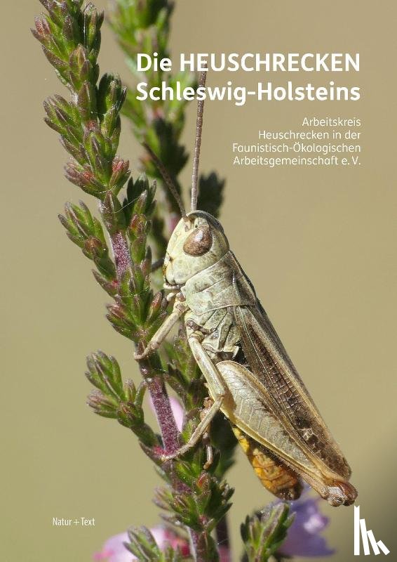 Winkler, Christian, Schulz, Björn, Voß, Klaus, Drews, Arne - Die Heuschrecken Schleswig-Holsteins