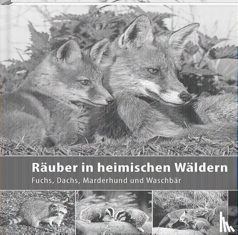 Borrmann, Klaus - Räuber in heimischen Wäldern