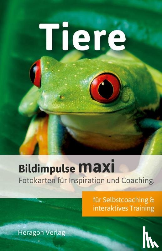 Pack, Bodo - Bildimpulse maxi: Tiere