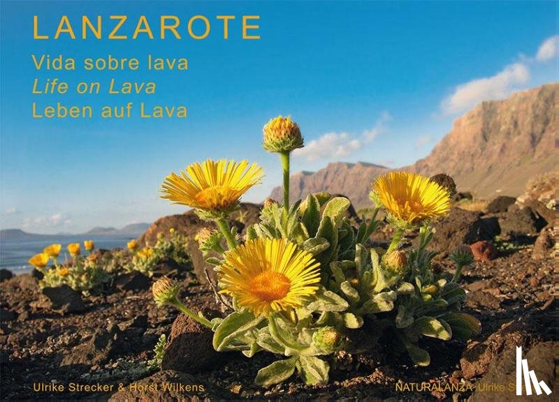 Strecker, Ulrike, Wilkens, Horst - Lanzarote - Leben auf Lava