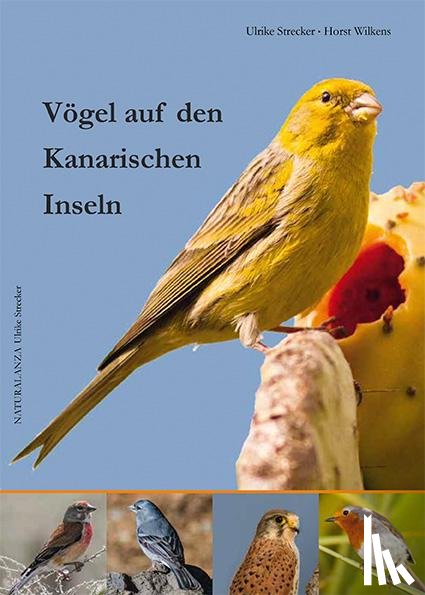 Strecker, Ulrike, Wilkens, Horst - Vögel auf den Kanarischen Inseln