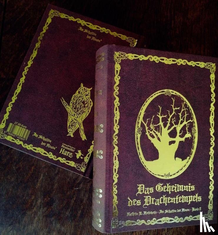 Hotowetz, Kathrin R. - Im Schatten der Hexen VIII