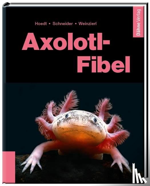 Hoedt, Werner, Schneider, Maite, Weinzierl, Friederike - Axolotl-Fibel